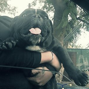 Meet your Posher, Jerry